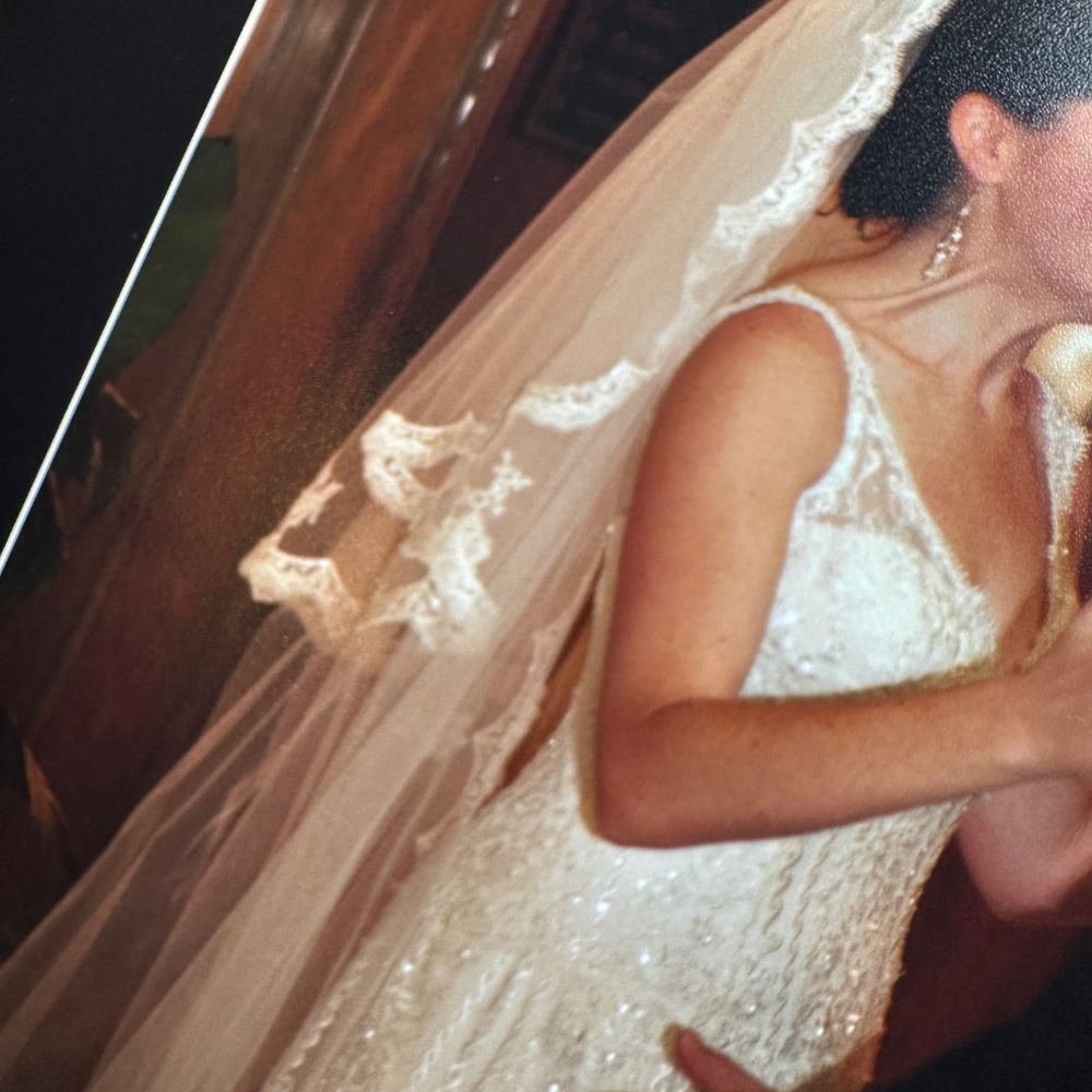 Pronovias Wedding Gown and Veil —Museum quality sealed - Picture 7 of 9